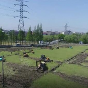 杭州三墩镇华联村的48次谈判只为留住“乡愁”