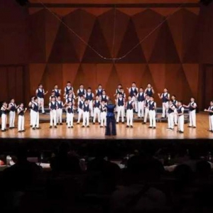 三墩小学合唱团载誉而归，飞鱼男童合唱团为三墩拿了个国际金奖！ ...